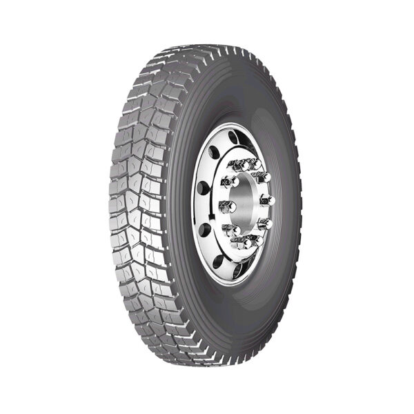 DSRD95