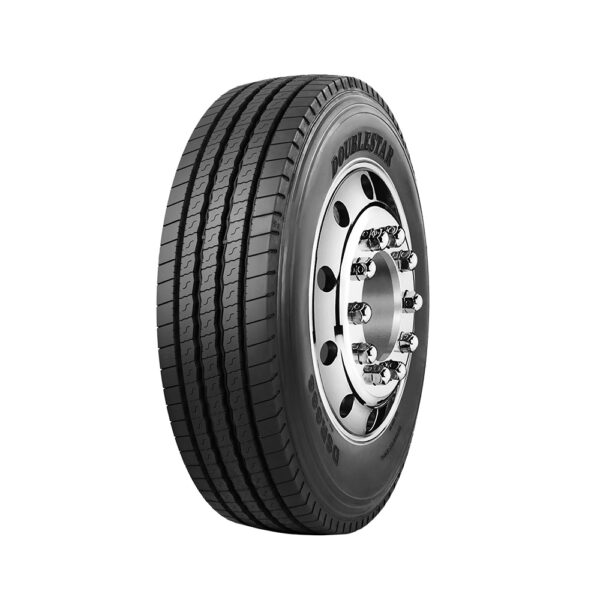 DSRS01